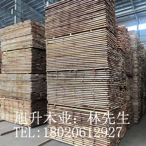 欖仁木供應(yīng) 欖仁木價格 批發(fā)紅褐欖仁木TER 紅欖仁價格 欖仁木廠家